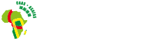 グローバル化にともなうアフリカ地域研究パラダイム再編のためのネットワーク形成